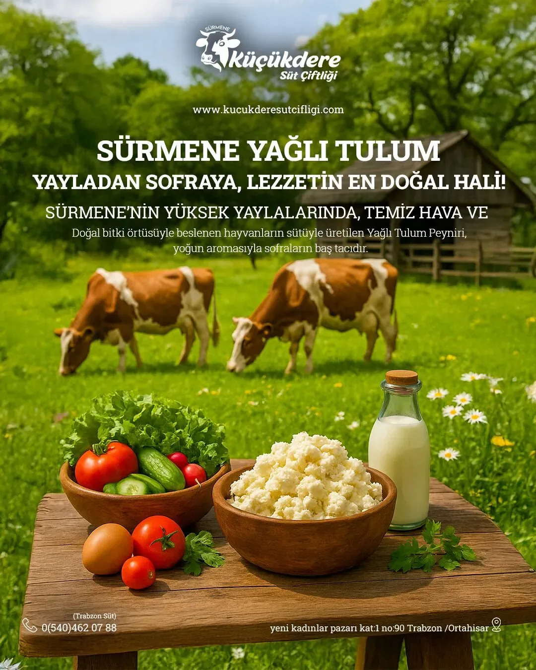Küçükdere Süt Çiftliği Samsun sosyal medya referansı (Post)