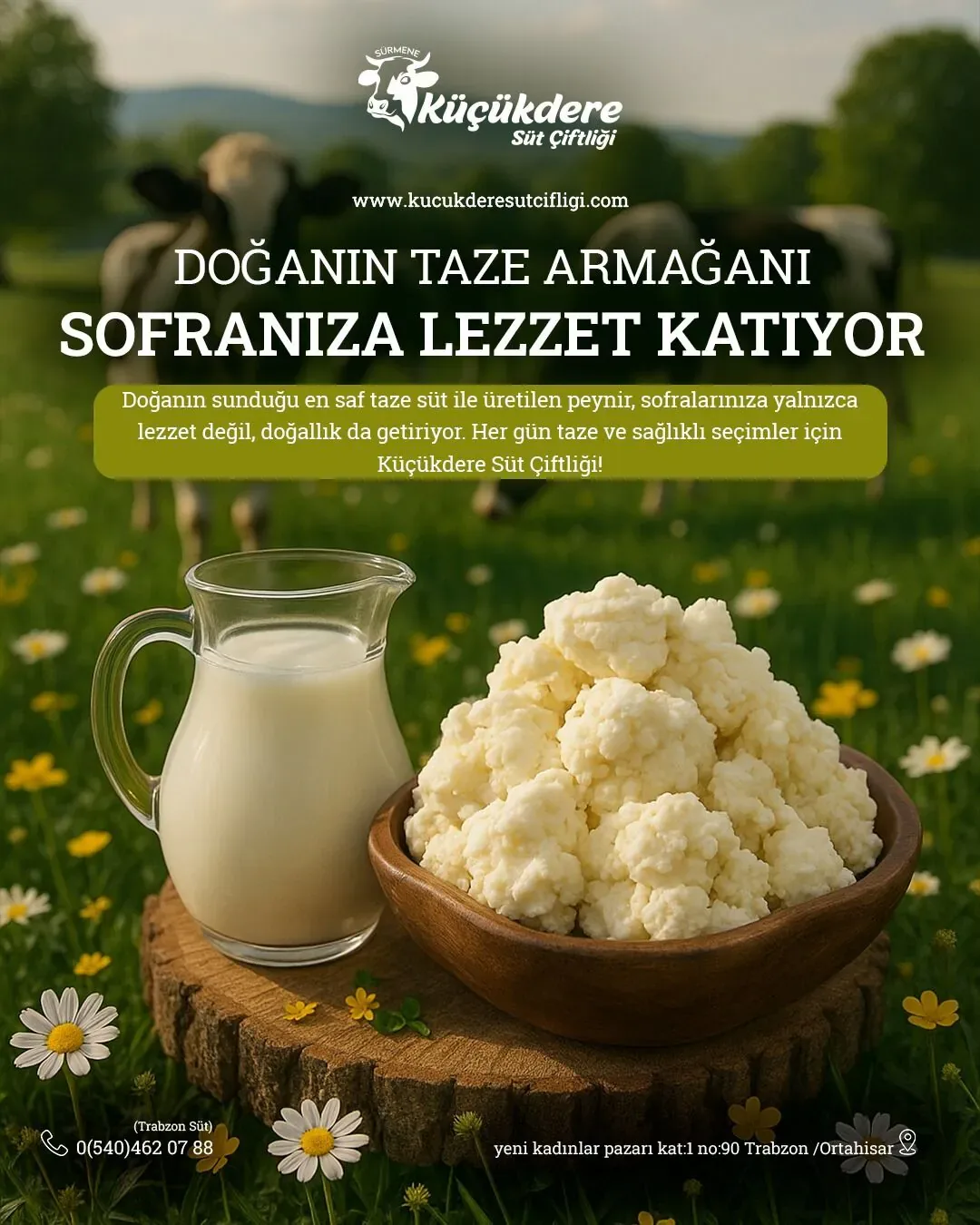 Küçükdere Süt Çiftliği Samsun sosyal medya referansı (Post)